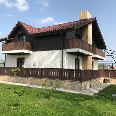 Pensiunea Dany - Crys Zvoristea Exterior photo