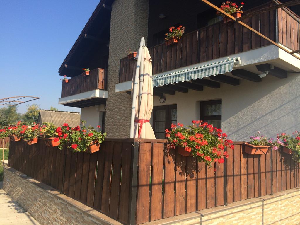 Pensiunea Dany - Crys Zvoristea Exterior photo