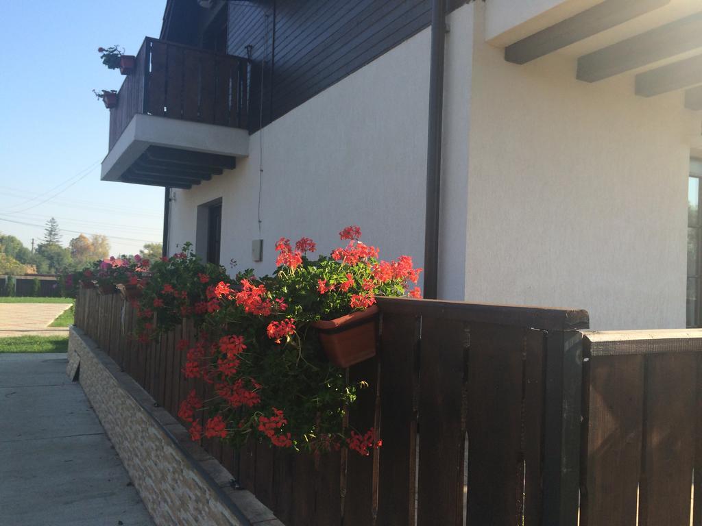 Pensiunea Dany - Crys Zvoristea Exterior photo