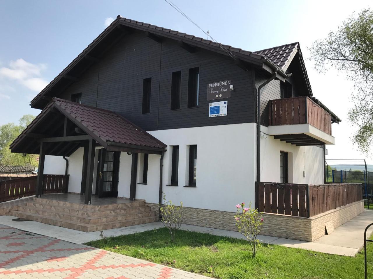 Pensiunea Dany - Crys Zvoristea Exterior photo