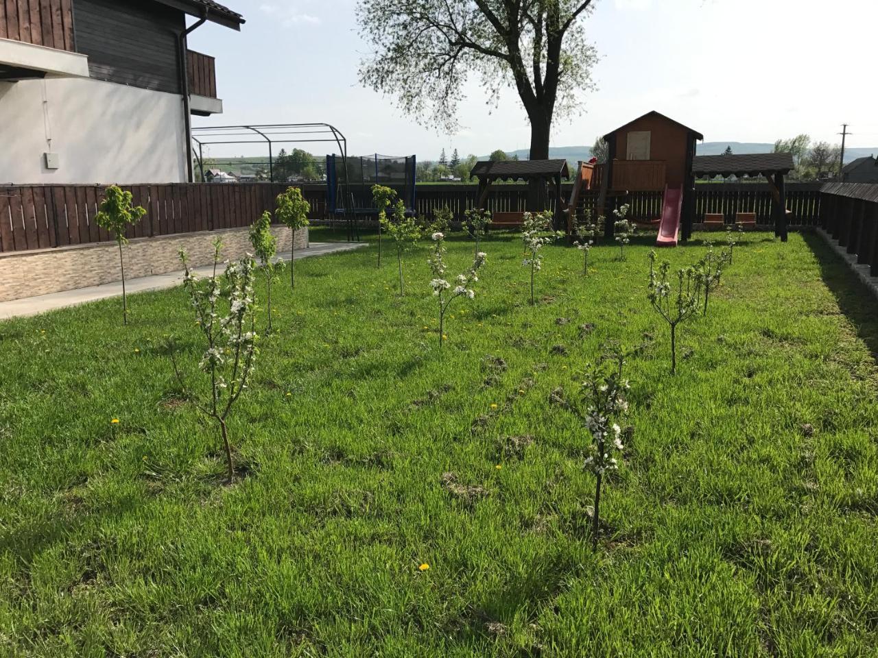 Pensiunea Dany - Crys Zvoristea Exterior photo